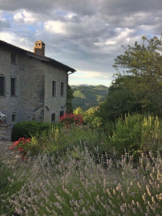 Villa Cavagnetti Pietralunga  Exteriör bild